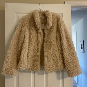 Cream Teddy Jacket. Size small. NWT